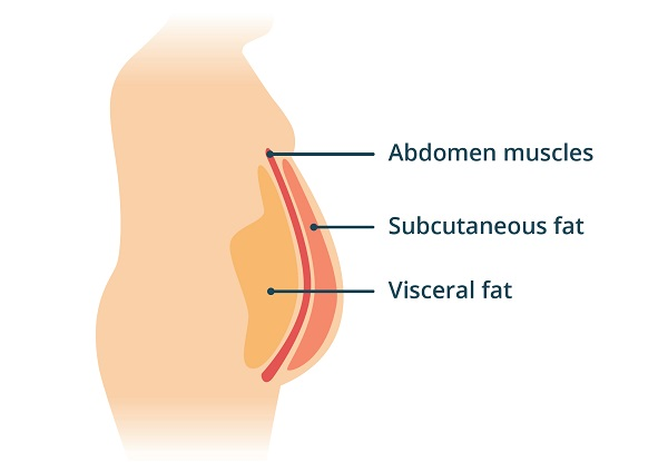 visceral body fat hidden fat