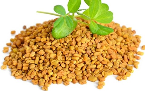 Fenugreek Seeds Benefits: A Natural Solution for Heart Health, Diabetes, and Digestive Wellness