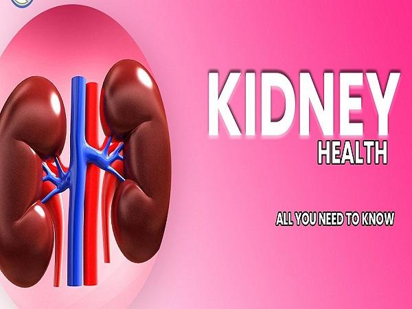 Essential Tips and Supplements for Healthy Kidney Function Naturally
