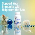 Forever Arctic Sea: Ingredients, Benefits, Uses & Side Effects