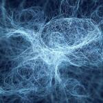Autonomic Neuropathy: Causes, preventive Strategies & Effective Treatment Supplements