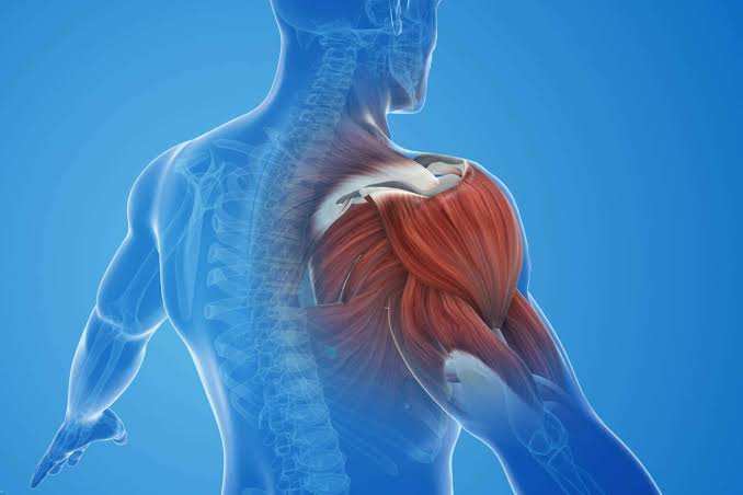 How to Relieve Muscle & Joint Pain Naturally: 7 Doctor-Recommended Ways & Supplements That Work