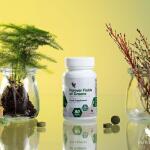 Forever Fields of Greens: Natural Detox Supplement for Complete Body Wellness