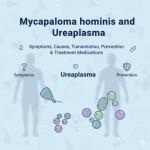 Mycoplasma hominis and Ureaplasma: Symptoms, Causes, Transmission, Prevention & Treatment Medications