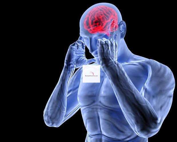 How Chronic Stress Affects The Brain and Memory
