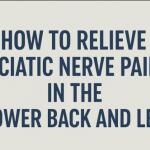 How to Relieve Sciatic Nerve Pain in the Lower Back and Leg with Effective Strategies & Treatment Supplements