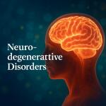 Neurodegenerative Diseases: Types, Causes, Symptoms & Effective Treatment Supplements