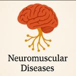 Neuromuscular Diseases: Causes, Symptoms, Management Strategies & Effective Treatments Supplements