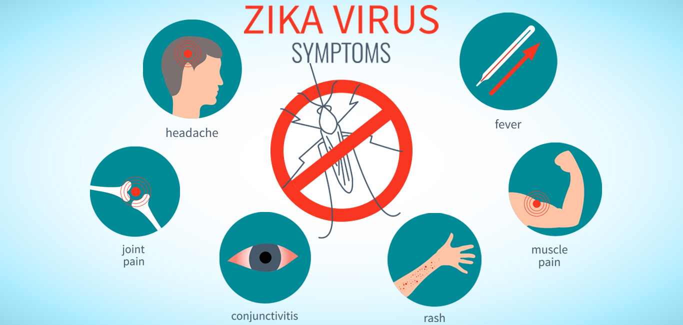 Zika Virus: Symptoms, Causes, Transmission, Prevention & Treatment Medications
