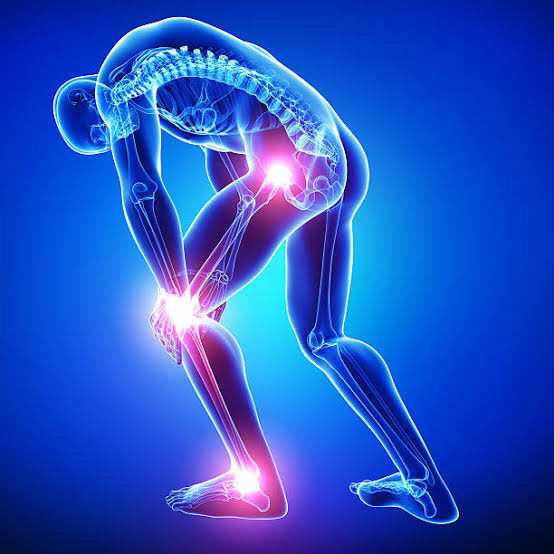 Best Natural Supplements Backed by Science for Joint Repairs