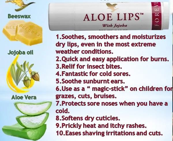 Forever Aloe Lips: The Natural Cream for Smooth, Soft, and Healthy Lips