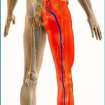 Causes of Sciatic Nerve Compression in the Hip Area: Preventive Strategies & Effective Treatment Supplements
